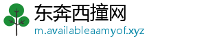 东奔西撞网