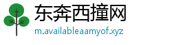 东奔西撞网